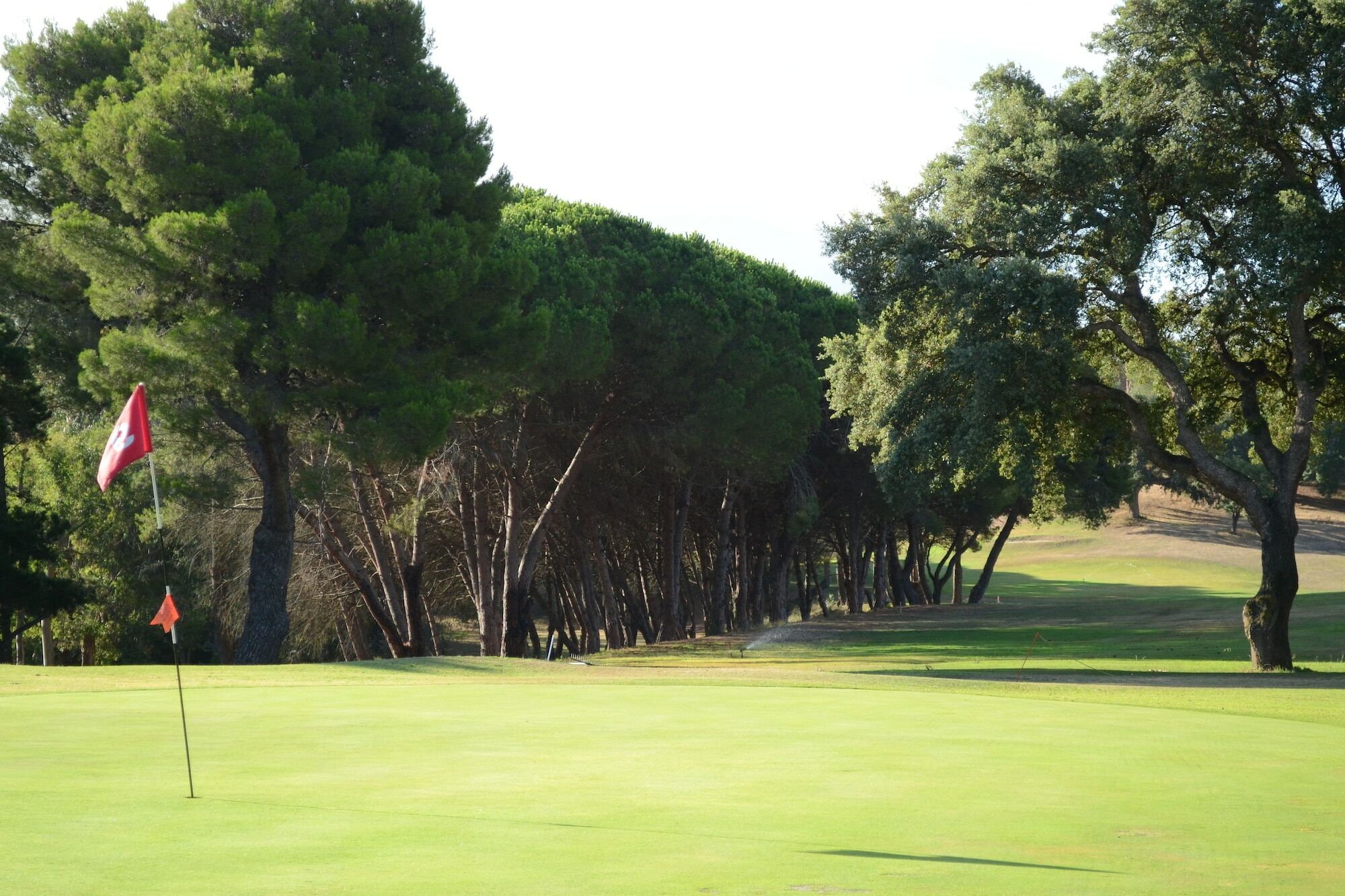 פורטופראיו Allegroitalia Elba Golf מראה חיצוני תמונה